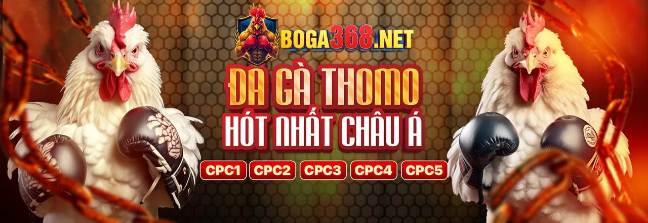 Đá Gà 8KBE Trực Tuyến